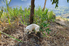 IMG_20240504_083357638_HDR