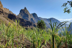 IMG_20240504_083523700_HDR