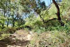 IMG_20240504_092957995_HDR