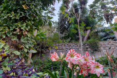 IMG_20240504_174730945_HDR