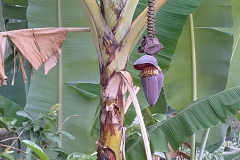 IMG_20240504_175758755