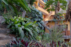 IMG_20240504_175907971_HDR